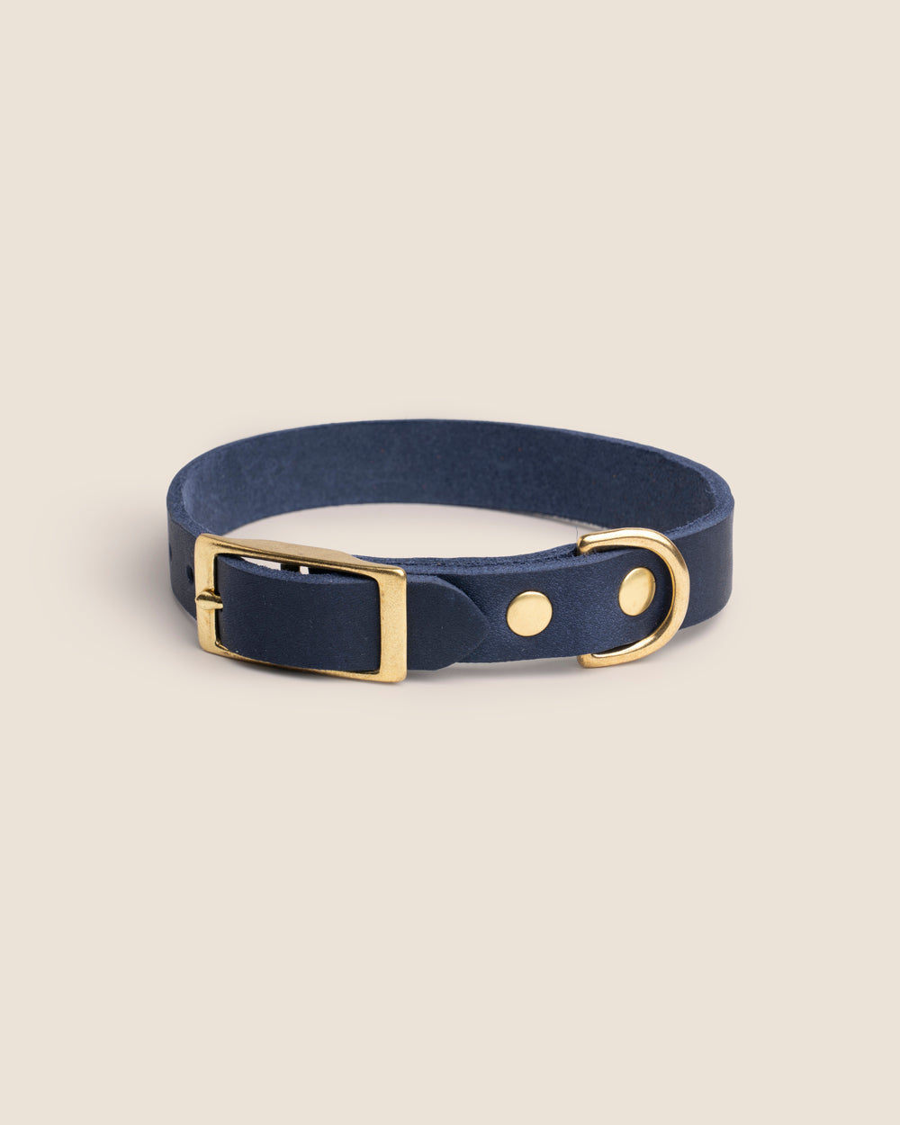 Collar The Blue Mastiff