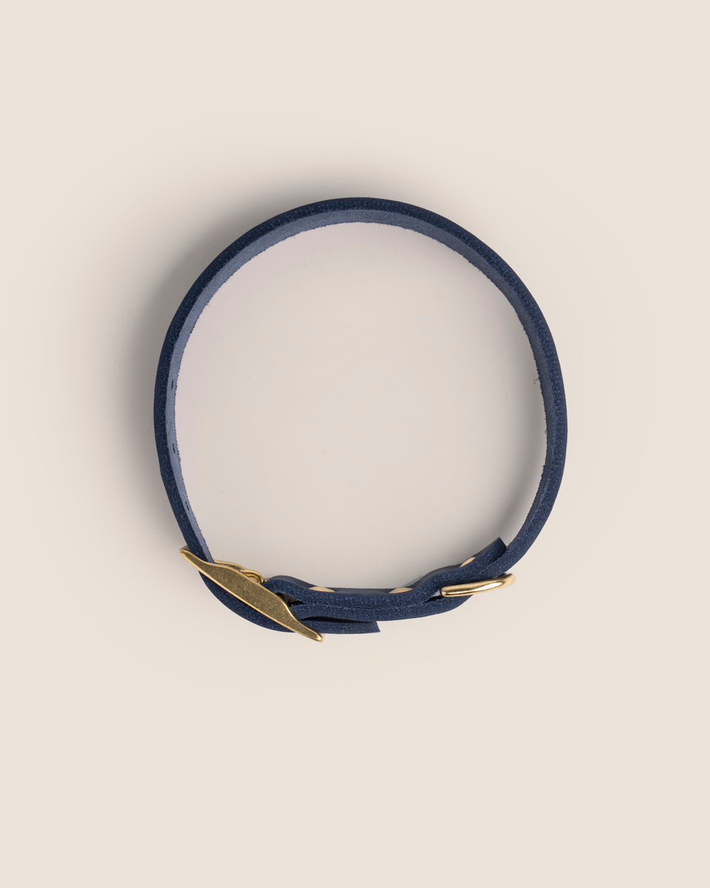 Collar The Blue Mastiff
