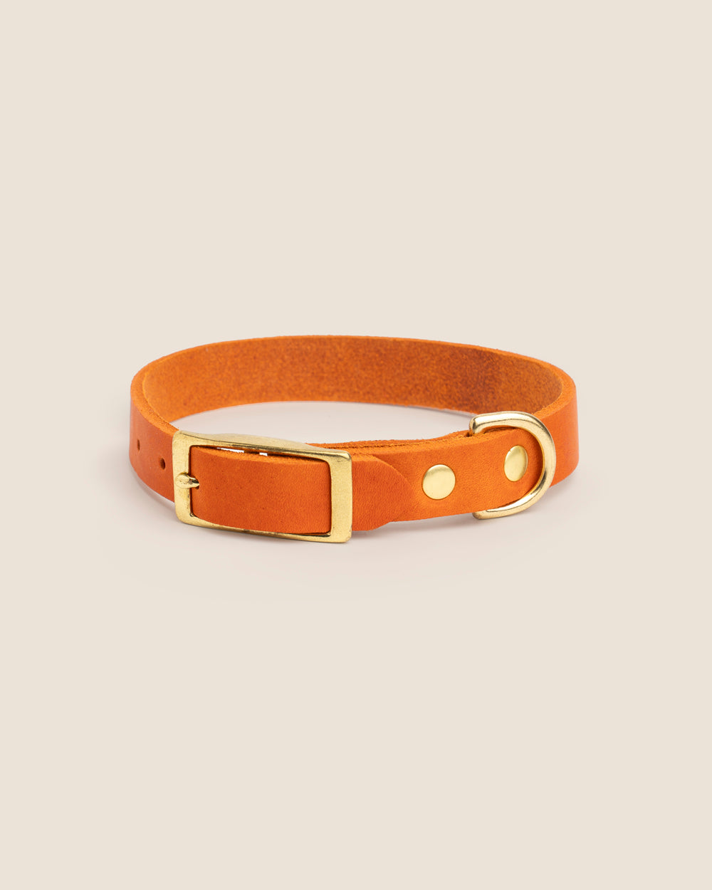 Collar Orange