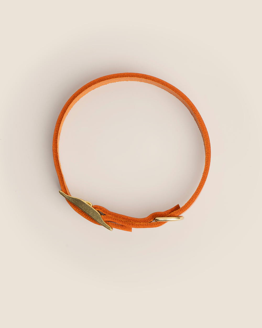 Collar Orange
