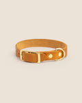 Collar Brandy