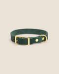 Collar Forest Green