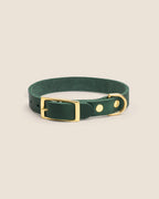 Collar Forest Green