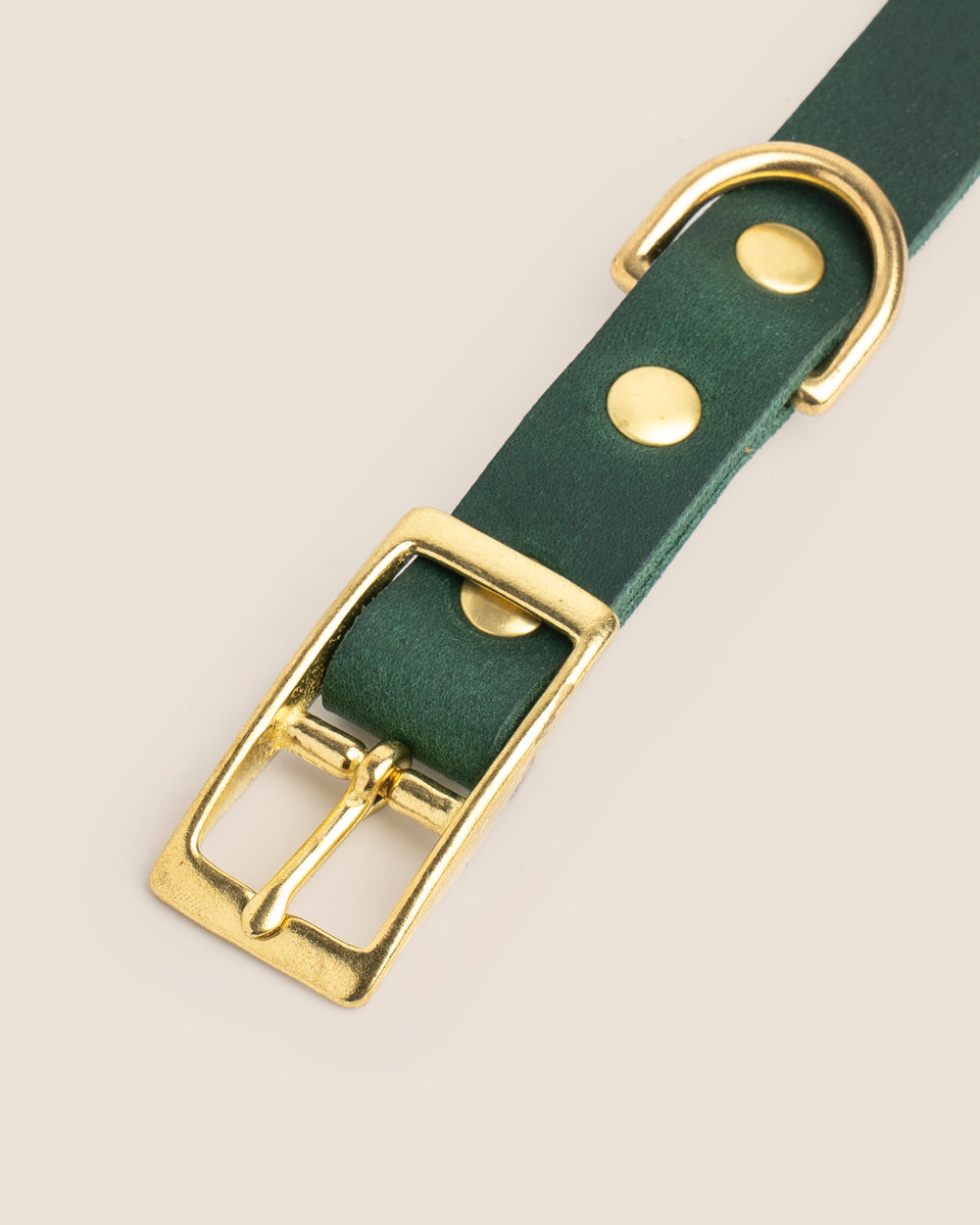 Collar Forest Green