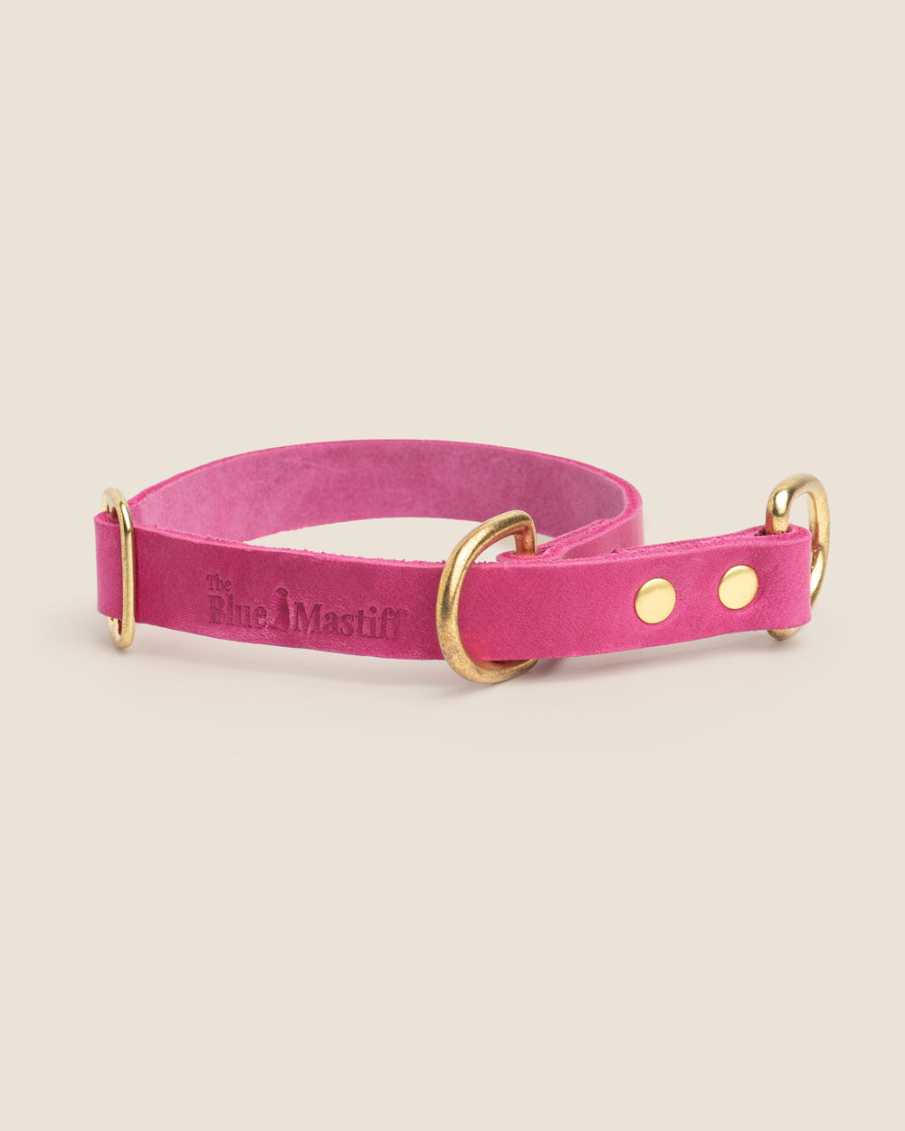 The Noble Pack - Collar Martingale, correa y chapita personalizada