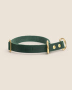 Collar Martingale Forest Green