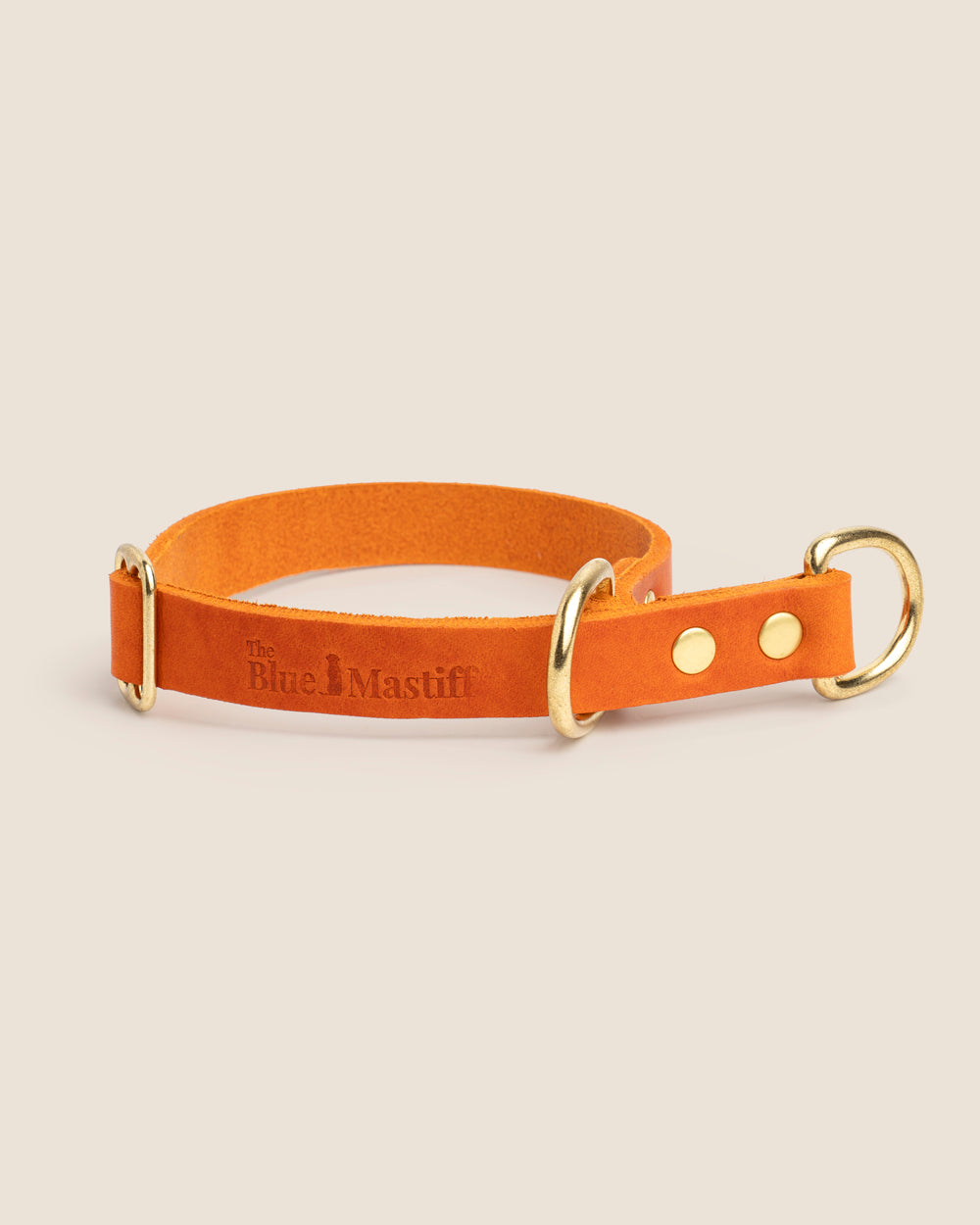 Collar Martingale Orange
