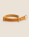 Collar Martingale Brandy