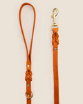 Correa Orange