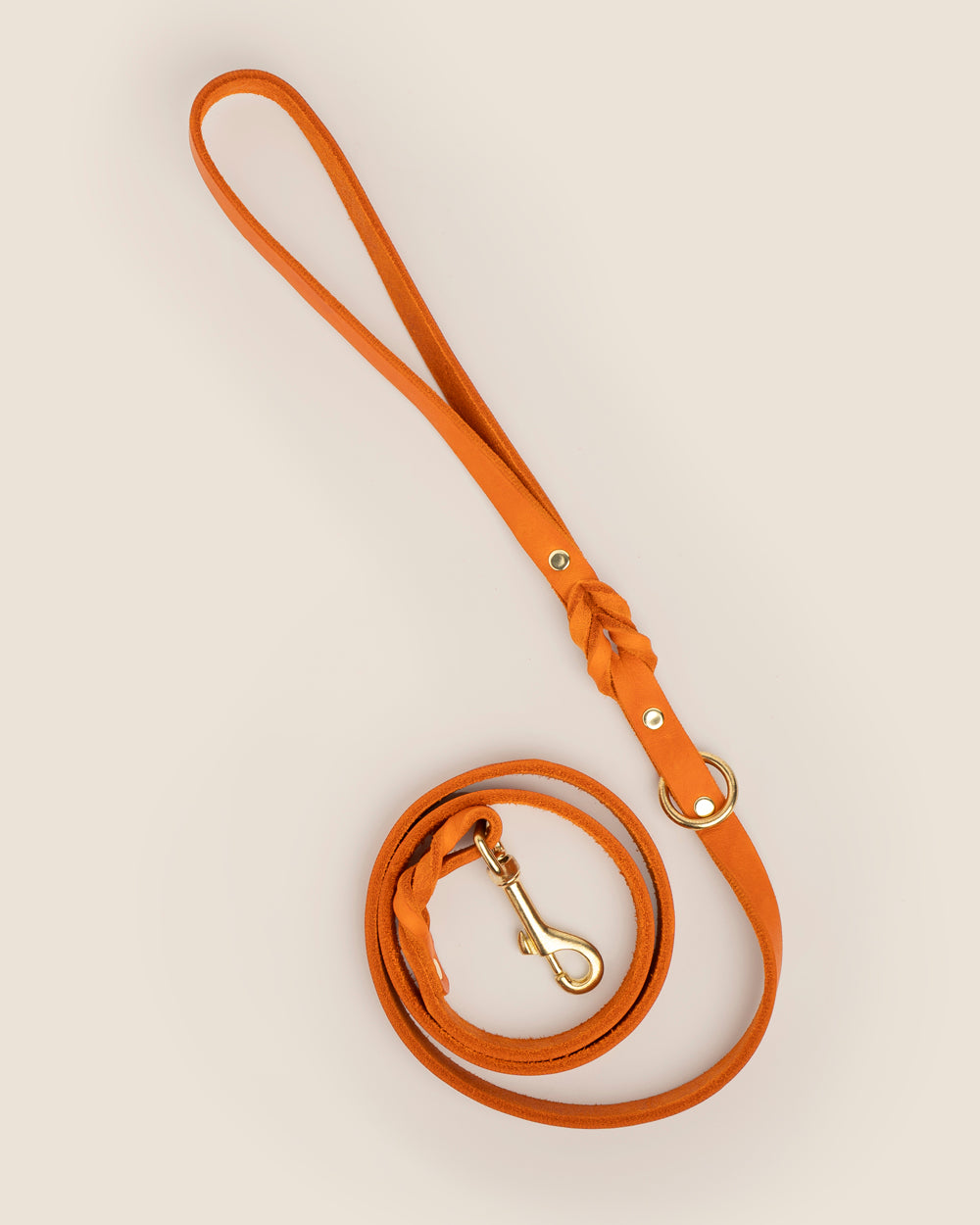 Correa Orange