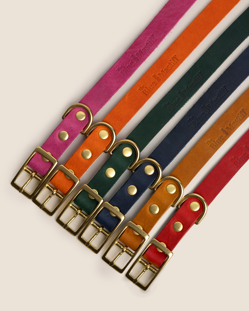 The Noble Pack - Collar clásico, correa y chapita personalizada