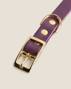 Dusty Pink Collar