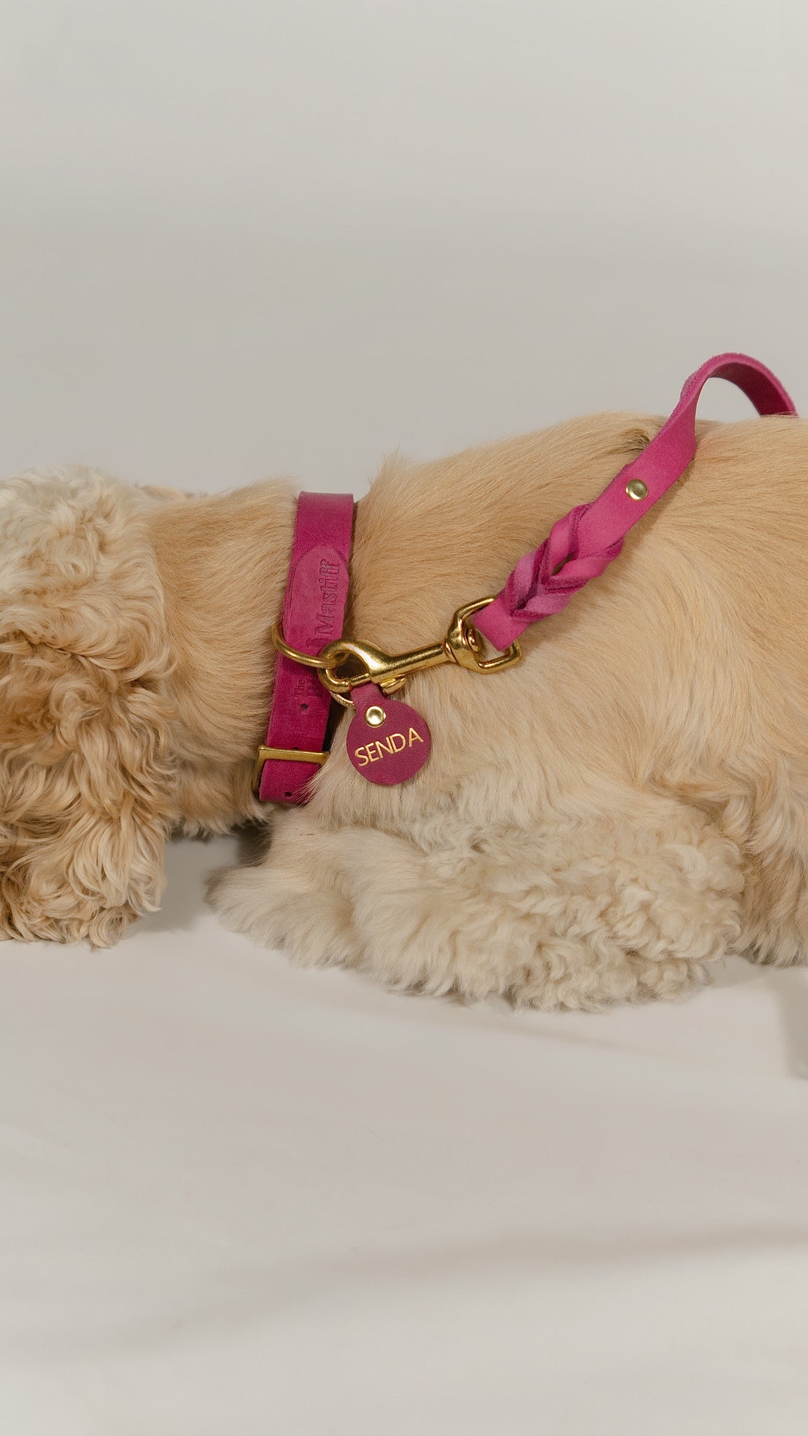 The Noble Pack - Collar clásico, correa y chapita personalizada