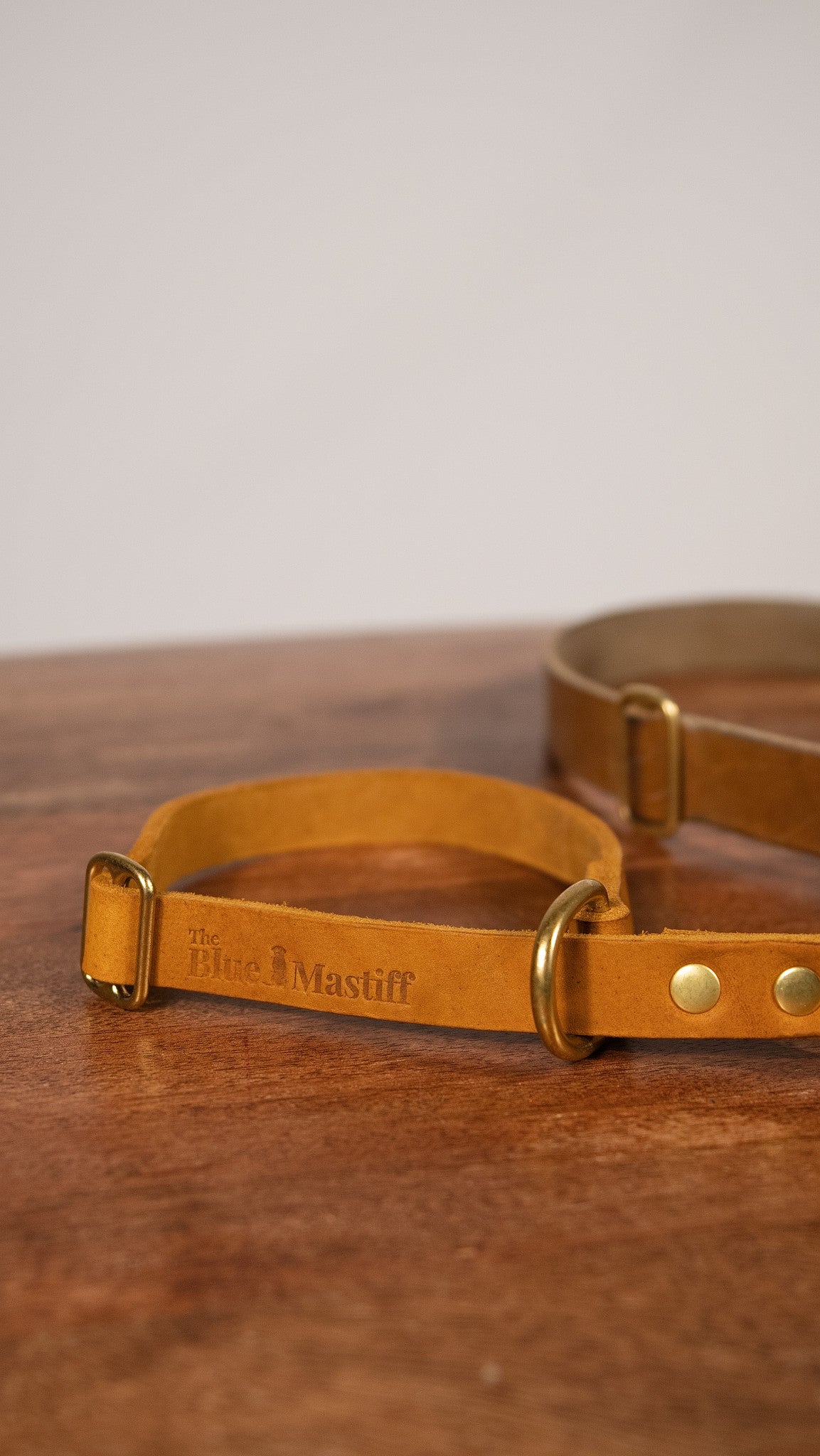 The Noble Pack - Collar Martingale, correa y chapita personalizada