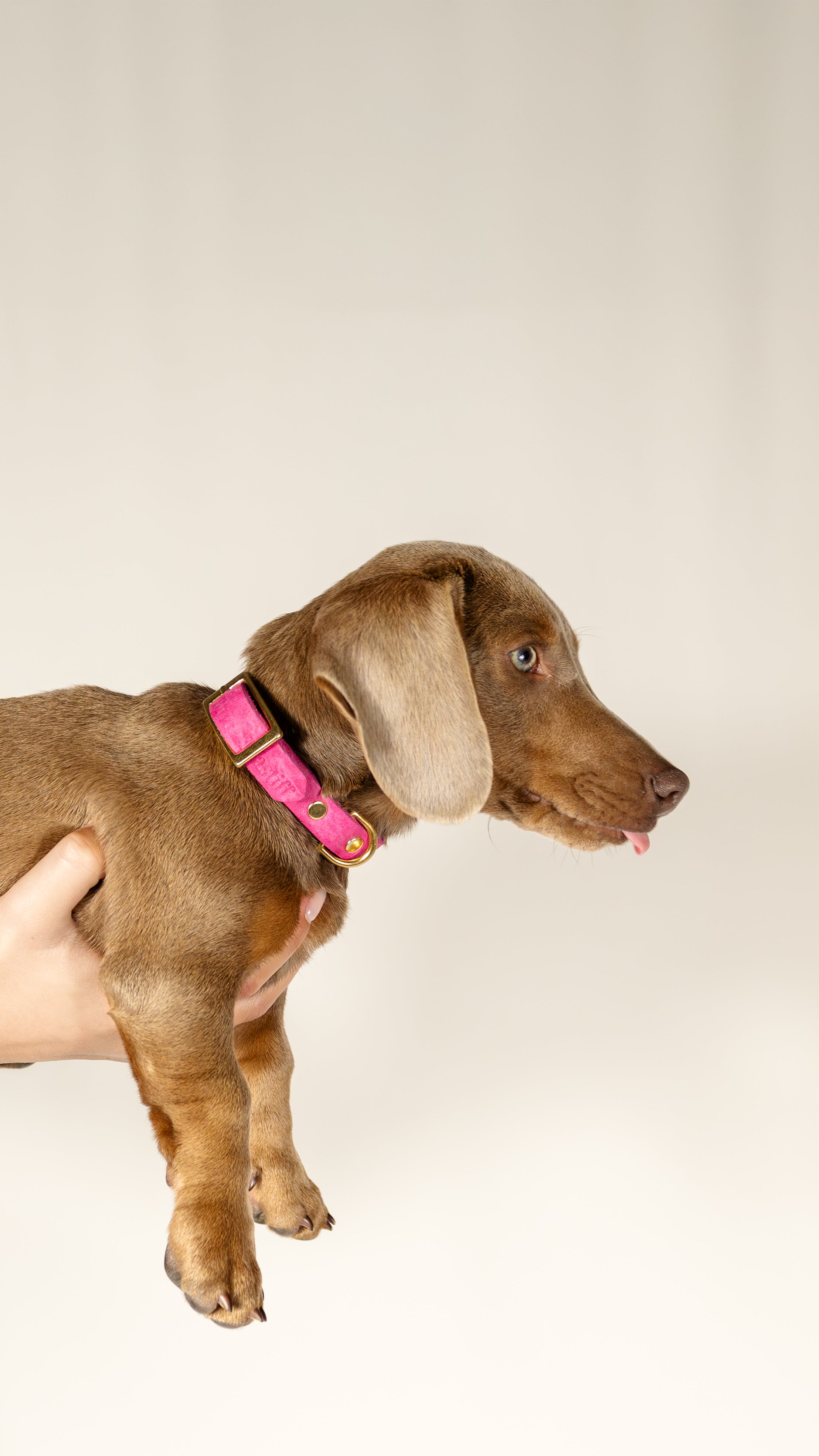 Collar Dusty Pink